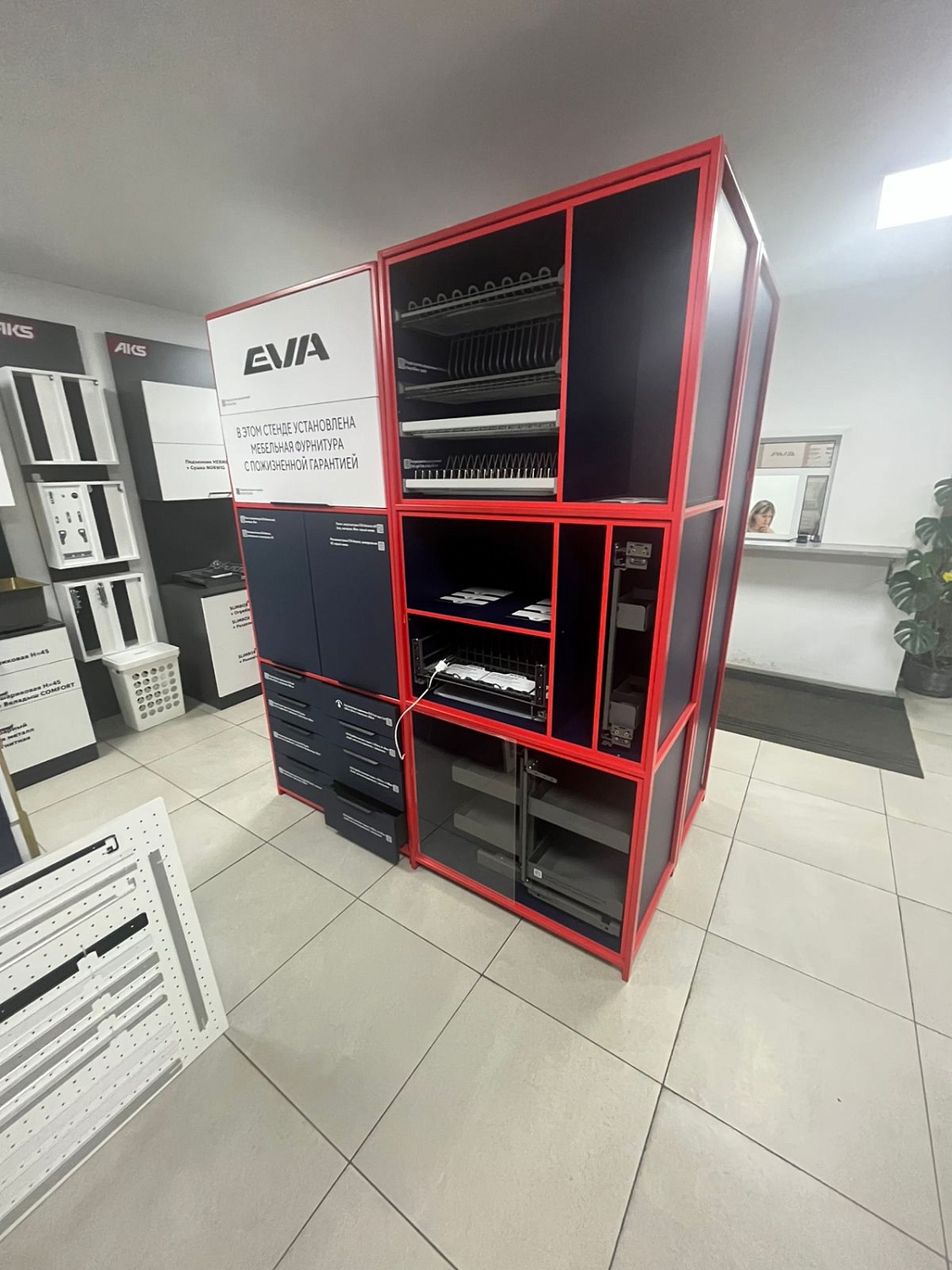 Обучение от EVA — фундамент вашего профессионального роста