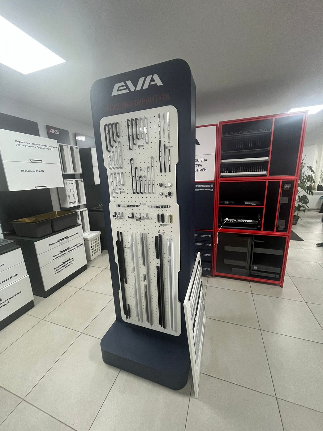 Обучение от EVA — фундамент вашего профессионального роста